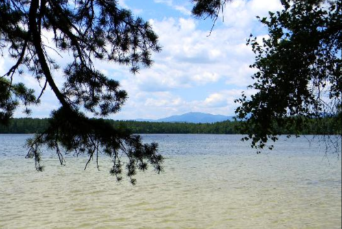 A serene lake view framed by tree branches, with mountains in the distance under a partly cloudy sky.