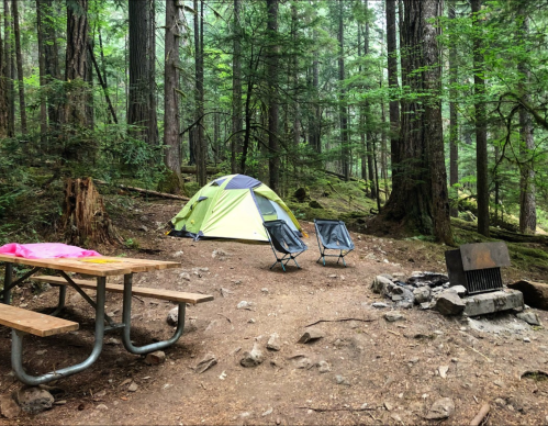 A green tent set up in a forest clearing with two camping chairs, a picnic table, and a fire pit nearby.