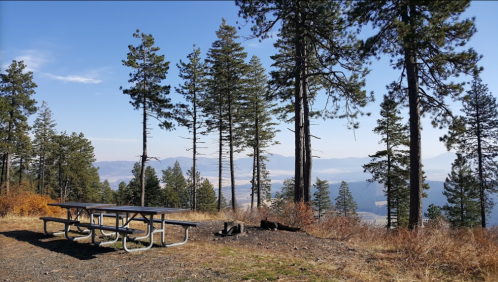 A picnic table surrounded by tall trees, overlooking a scenic mountain view under a clear blue sky.