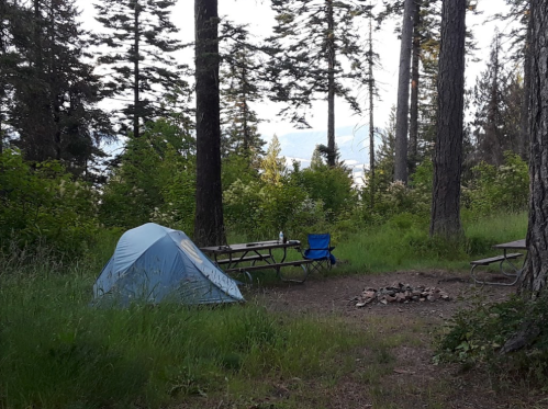 A blue tent set up in a forest clearing with picnic tables and a fire pit surrounded by trees and greenery.