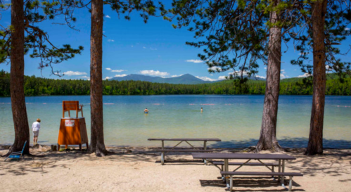 A serene lake scene with picnic tables, a lifeguard chair, and people swimming, framed by tall trees and mountains in the background.
