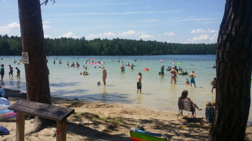 A busy beach scene with people swimming and relaxing in the water under a clear blue sky and trees in the background.