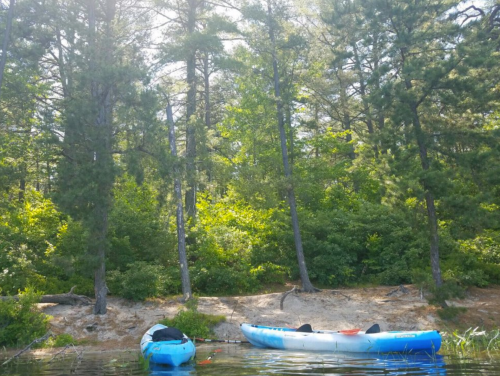 Two kayaks on calm water near a sandy shore, surrounded by lush green trees and sunlight filtering through the leaves.