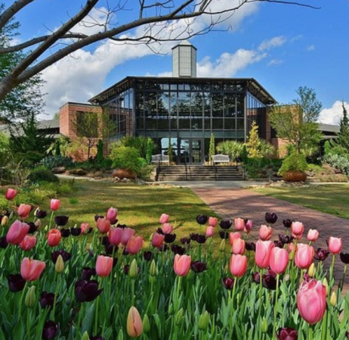 A modern building surrounded by vibrant pink and purple tulips under a blue sky with scattered clouds.