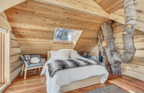 Cozy wooden bedroom with a sloped ceiling, large window, and a tree trunk integrated into the design.