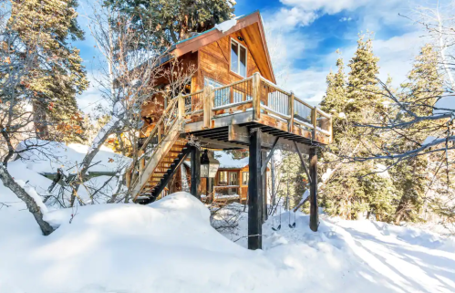 A cozy wooden treehouse elevated on stilts, surrounded by snow-covered trees and a bright blue sky.