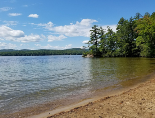 A serene lakeside view with clear water, sandy shore, and lush green trees under a blue sky with fluffy clouds.