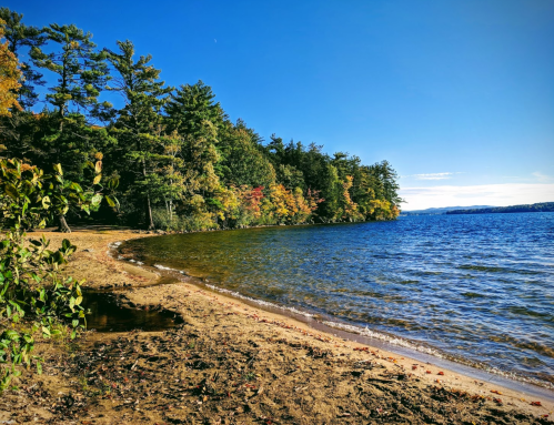 A serene lakeside view with sandy shore, colorful trees, and clear blue sky reflecting on the water.