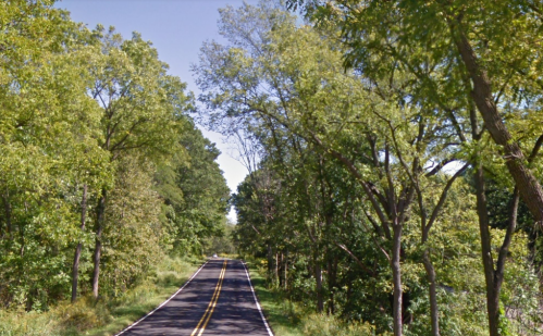 A winding road surrounded by lush green trees under a clear blue sky.