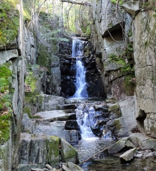 A serene waterfall cascading through rocky cliffs, surrounded by lush greenery and moss.