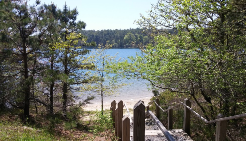 A serene view of a lake surrounded by trees, with a wooden path leading down to the water's edge.
