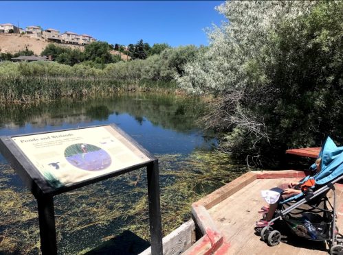 A stroller sits on a wooden platform by a calm pond, with a sign about ponds and wetlands nearby, surrounded by greenery.