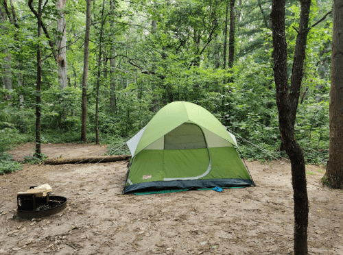 A green tent set up in a wooded campsite with trees and a fire pit nearby.