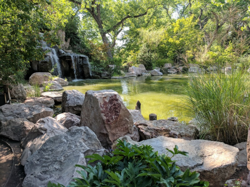 A serene pond surrounded by rocks and lush greenery, featuring a small waterfall in a tranquil natural setting.