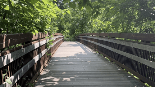 A wooden bridge surrounded by lush greenery, leading into a peaceful, natural setting.