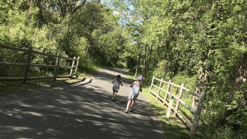 Two children walking on a tree-lined path, one on a scooter, surrounded by lush greenery and a wooden fence.