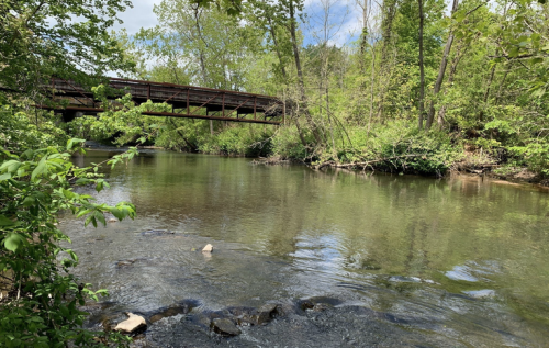 A serene river scene with a wooden bridge, surrounded by lush greenery and trees under a partly cloudy sky.