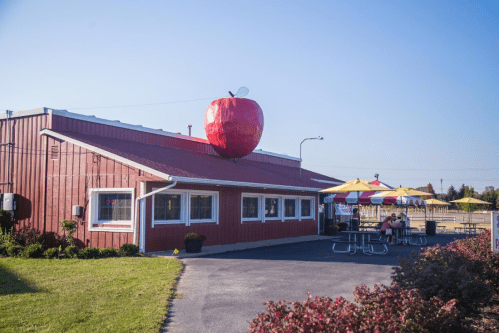 A red barn-style restaurant with a large apple sculpture on the roof and outdoor seating under colorful umbrellas.