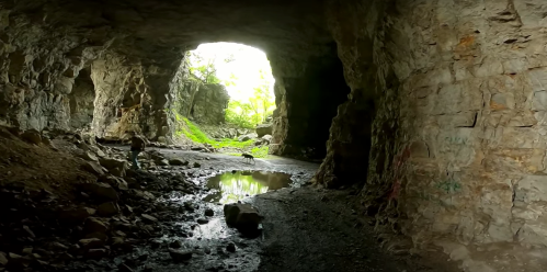 A rocky cave with a stream and greenery visible through the entrance, creating a serene natural scene.