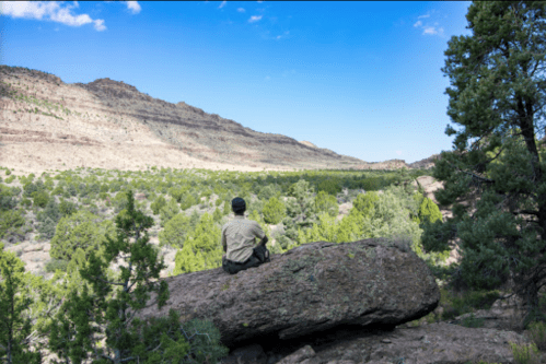 A person sits on a large rock, overlooking a lush valley surrounded by mountains and trees under a blue sky.