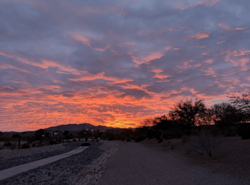 A vibrant sunset with orange and pink hues over a desert landscape, featuring clouds and silhouettes of trees.