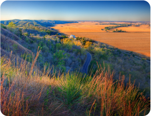A scenic view of rolling hills and fields under a clear blue sky, with a winding road and a farm in the distance.