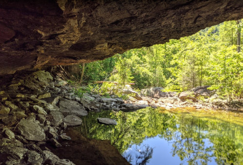 A serene view from a cave, showcasing a calm water pool surrounded by lush greenery and rocky terrain.