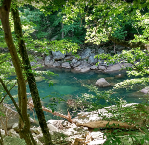 A serene river flows through a lush green forest, surrounded by rocks and trees.