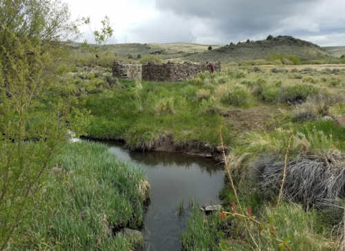 A serene landscape featuring a small stream, lush green grass, and a stone structure in a grassy field under cloudy skies.