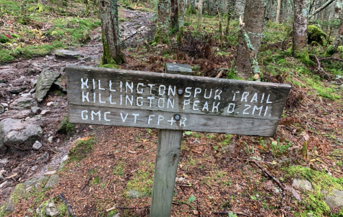 Wooden trail sign indicating "Killington Spur Trail" and "Killington Peak 0.2 mi" in a forested area.