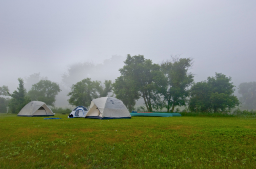 Two tents on a grassy field surrounded by trees in a foggy atmosphere.
