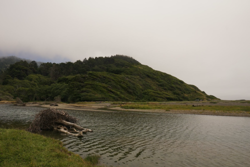 A serene landscape featuring a river, lush green hills, and a foggy sky, with driftwood along the water's edge.