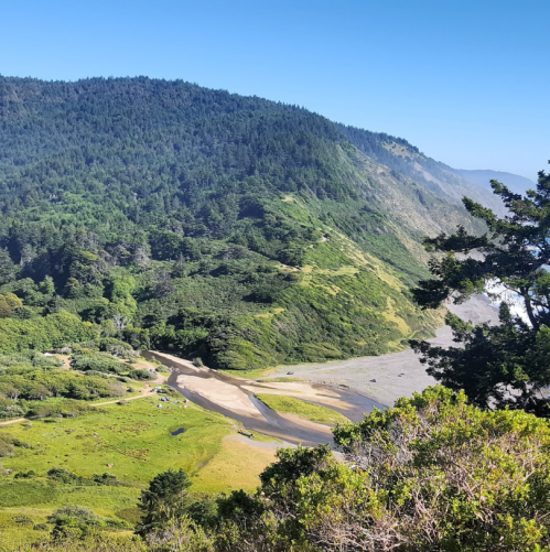 A scenic view of a lush green hillside leading to a rocky beach under a clear blue sky.