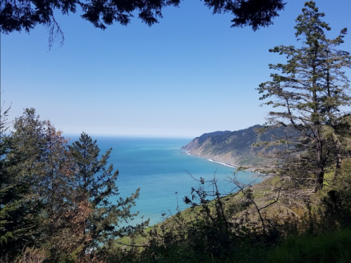 A scenic view of a coastline with turquoise waters, cliffs, and trees under a clear blue sky.