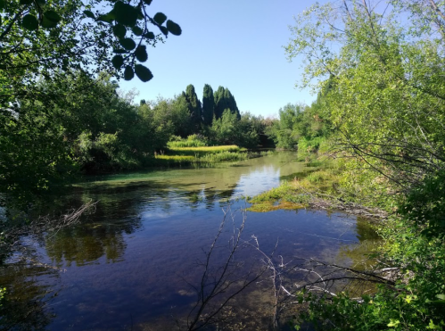 A serene river scene surrounded by lush greenery and trees under a clear blue sky.