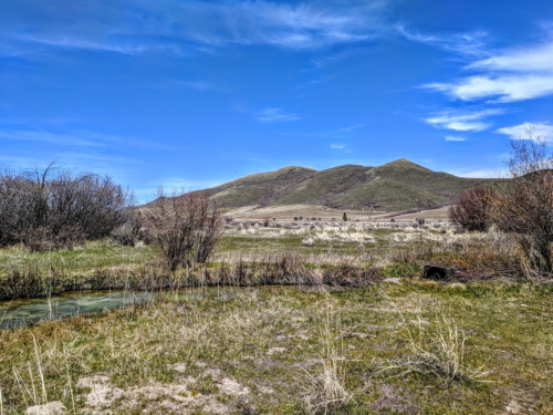 A serene landscape featuring rolling hills, a clear blue sky, and a small stream surrounded by grass and shrubs.