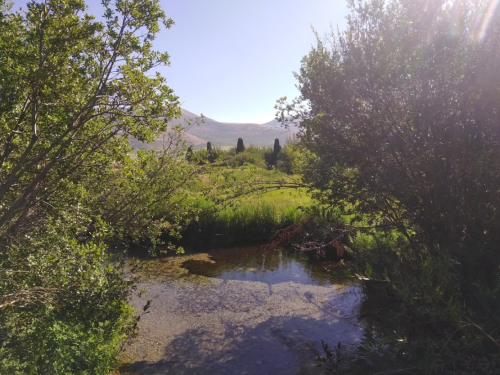 A serene landscape featuring a clear stream surrounded by lush greenery and distant mountains under a bright sky.