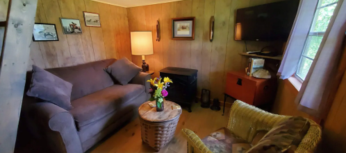 Cozy living room with a sofa, armchair, lamp, TV, and a small table with a vase of flowers. Warm wooden walls.