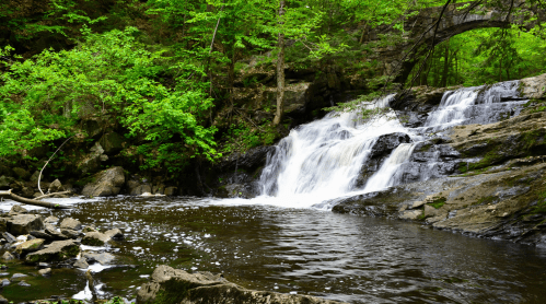 A serene waterfall cascades over rocks into a calm stream, surrounded by lush green trees and foliage.