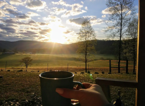 A hand holding a mug in front of a scenic sunset over a grassy field and trees.