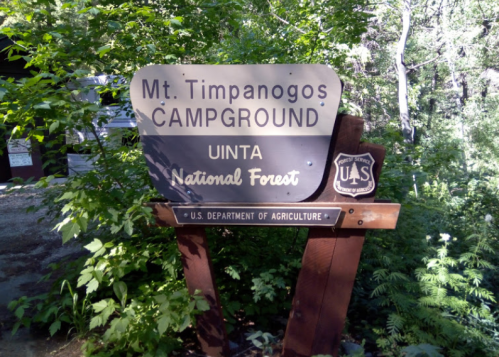Sign for Mt. Timpanogos Campground in Uinta National Forest, surrounded by lush greenery.