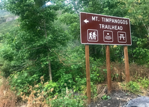 Sign for Mt. Timpanogos Trailhead with directional arrow, surrounded by greenery and shrubs.