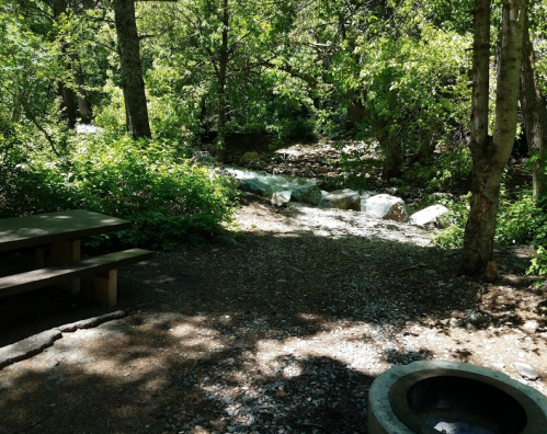 A serene forest scene with a picnic table, rocky path, and lush greenery under dappled sunlight.