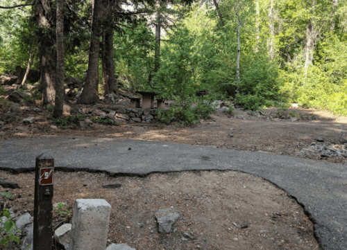 A winding path through a forested area with trees, rocks, and a picnic table in the background.