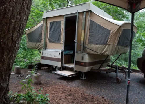 A pop-up camper parked in a wooded area, surrounded by trees and gravel.