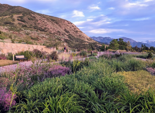 A scenic garden with colorful flowers and lush greenery, set against a backdrop of mountains and a blue sky.