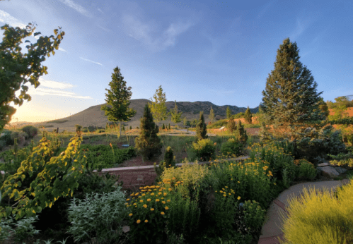 A scenic garden at sunset, featuring lush greenery, colorful flowers, and distant hills under a clear sky.