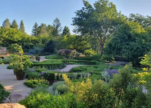 A lush garden with winding paths, vibrant flowers, and greenery under a clear blue sky.