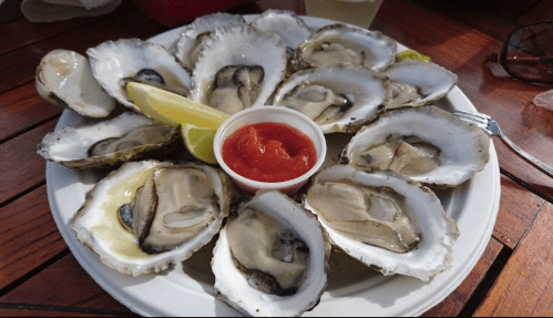 A plate of fresh oysters on the half shell, served with lemon wedges and a small cup of cocktail sauce.