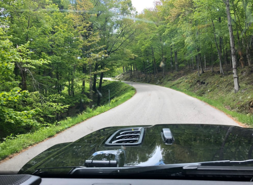 A winding road through lush green trees, viewed from the dashboard of a vehicle.
